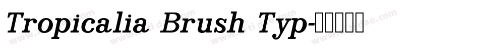 Tropicalia Brush Typ字体转换
